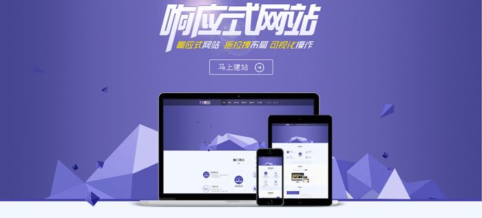 网站开发