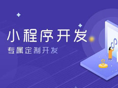 西安小程序开发，小程序制作公司都可以制作哪些功能的小程序？